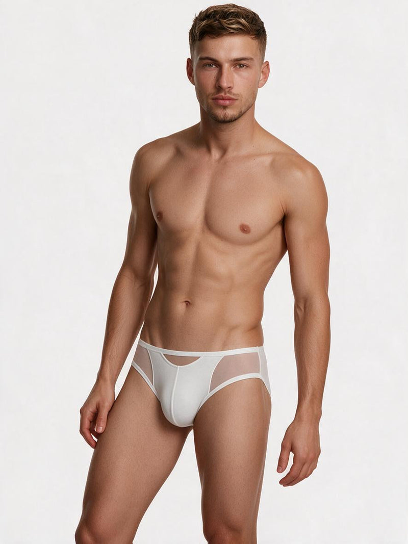 LUME SHEER Briefs 02